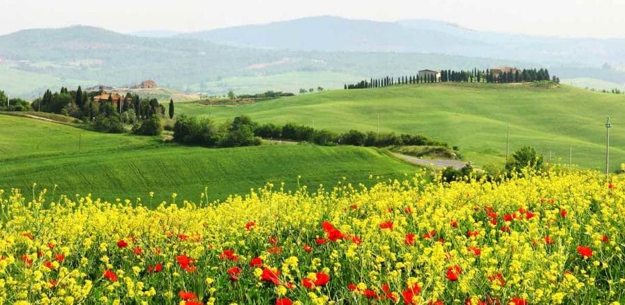 Mugello, Tuscan countryside